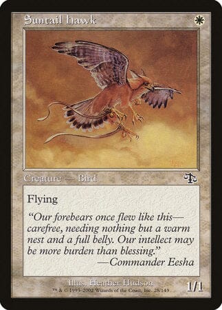 Suntail Hawk [Judgment] MTG Single Magic: The Gathering  | Multizone: Comics And Games