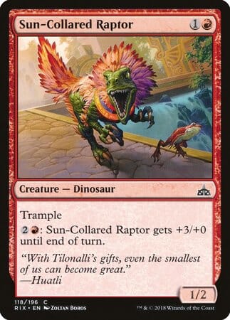 Sun-Collared Raptor [Rivals of Ixalan] MTG Single Magic: The Gathering  | Multizone: Comics And Games