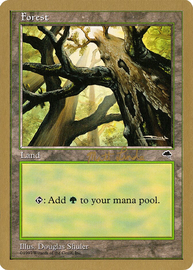 Forest (ml347a) (Matt Linde) [World Championship Decks 1999] MTG Single Magic: The Gathering  | Multizone: Comics And Games