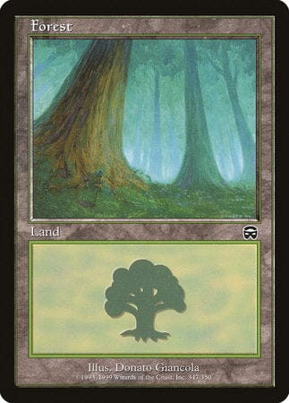 Forest (347) [Mercadian Masques] MTG Single Magic: The Gathering  | Multizone: Comics And Games