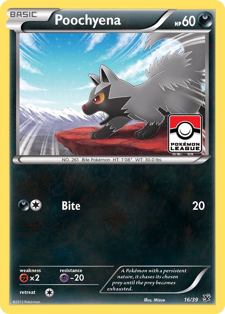 Poochyena (16/39) [XY: Kalos Starter Set] Pokemon Single Pokémon  | Multizone: Comics And Games