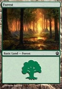 Forest [Theros] MTG Single Magic: The Gathering  | Multizone: Comics And Games
