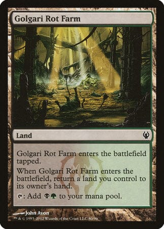 Golgari Rot Farm [Duel Decks: Izzet vs. Golgari] MTG Single Magic: The Gathering  | Multizone: Comics And Games