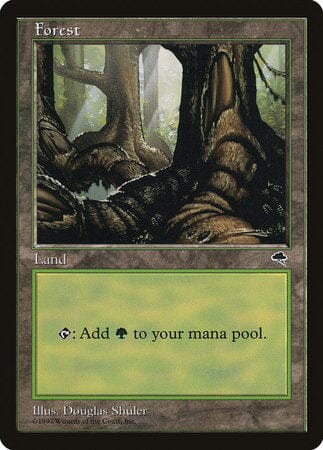 Forest (Pond) [Tempest] MTG Single Magic: The Gathering  | Multizone: Comics And Games