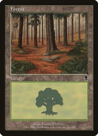 Forest (347) [Odyssey] MTG Single Magic: The Gathering  | Multizone: Comics And Games
