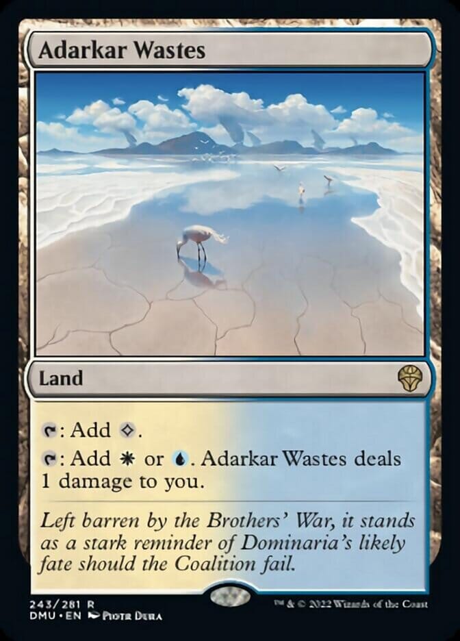 Adarkar Wastes [Dominaria United] MTG Single Magic: The Gathering  | Multizone: Comics And Games