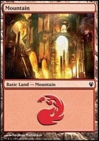 Mountain [Duel Decks: Izzet vs. Golgari] MTG Single Magic: The Gathering  | Multizone: Comics And Games