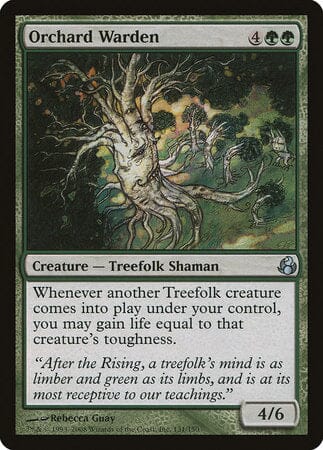 Orchard Warden [Morningtide] MTG Single Magic: The Gathering  | Multizone: Comics And Games
