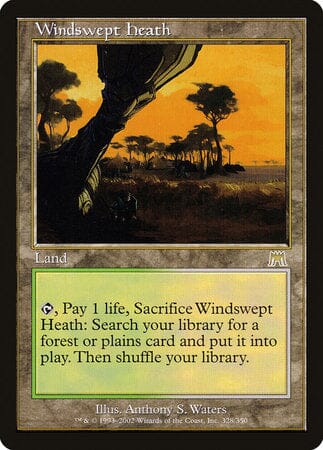 Windswept Heath [Onslaught] MTG Single Magic: The Gathering  | Multizone: Comics And Games