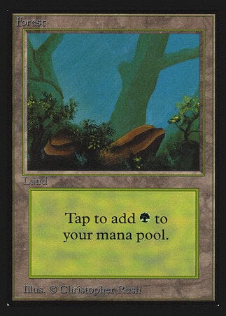 Forest (Rocks)(IE) [Intl. Collectors’ Edition] MTG Single Magic: The Gathering  | Multizone: Comics And Games