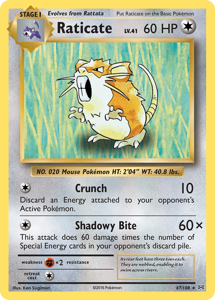 Raticate (67/108) [XY: Evolutions] Pokemon Single Pokémon  | Multizone: Comics And Games