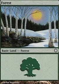 Forest [Coldsnap Theme Decks] MTG Single Magic: The Gathering  | Multizone: Comics And Games
