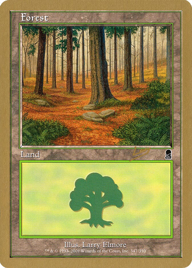 Forest (rl347) (Raphael Levy) [World Championship Decks 2002] MTG Single Magic: The Gathering  | Multizone: Comics And Games