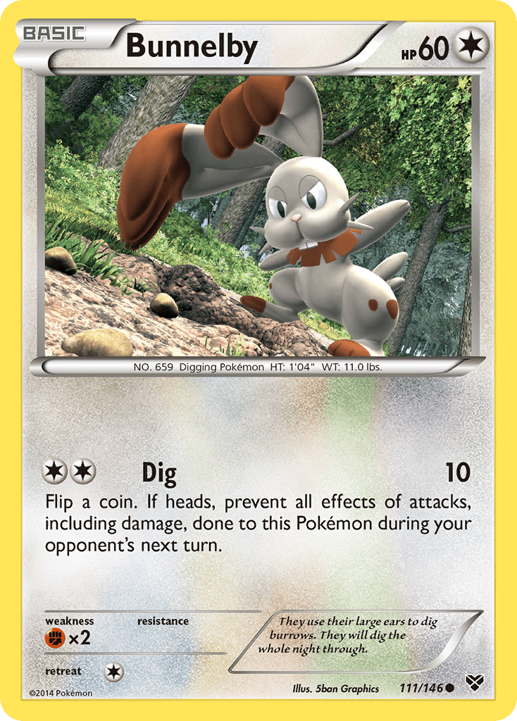 Bunnelby (111/146) [XY: Base Set] Pokemon Single Pokémon  | Multizone: Comics And Games