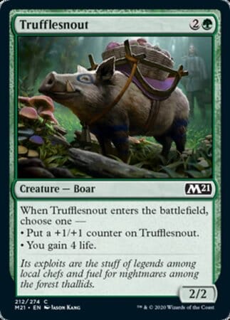 Trufflesnout [Core Set 2021] MTG Single Magic: The Gathering  | Multizone: Comics And Games