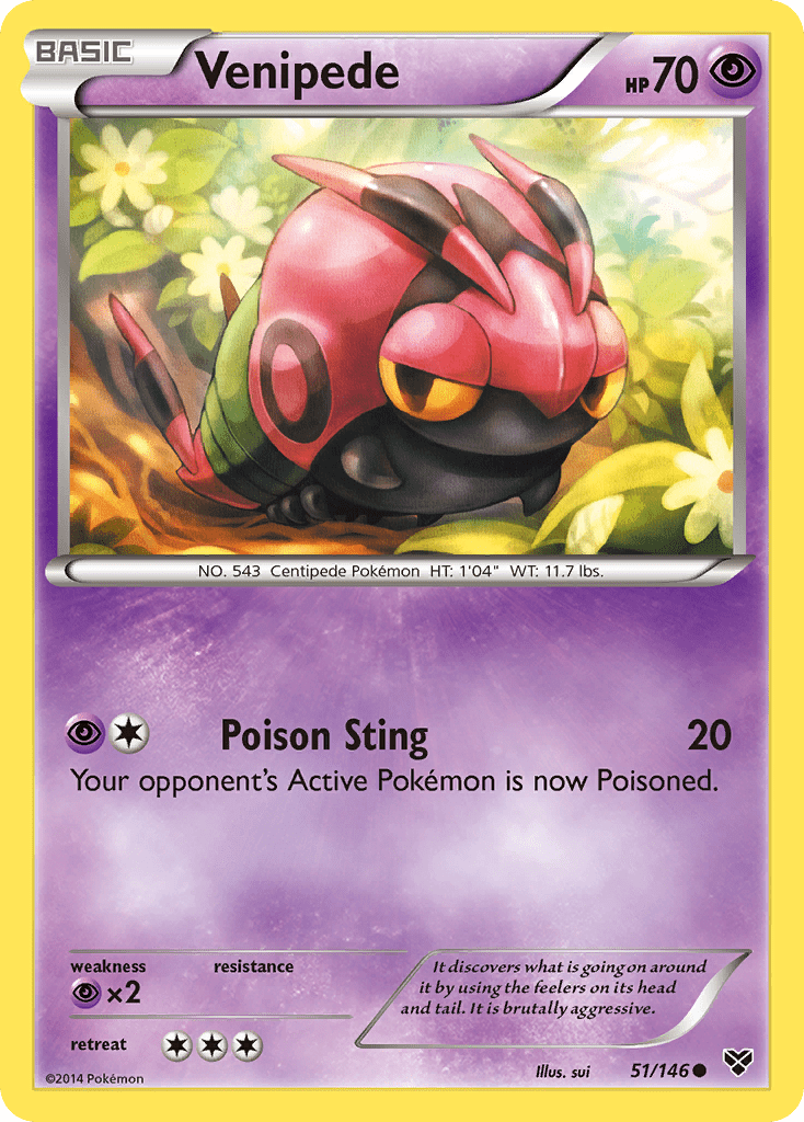 Venipede (51/146) [XY: Base Set] Pokemon Single Pokémon  | Multizone: Comics And Games