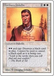 Northern Paladin [Unlimited Edition] MTG Single Magic: The Gathering  | Multizone: Comics And Games