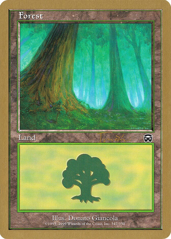 Forest (jt347a) (Jan Tomcani) [World Championship Decks 2001] MTG Single Magic: The Gathering  | Multizone: Comics And Games