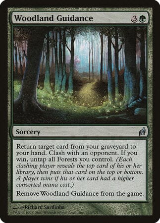 Woodland Guidance [Lorwyn] MTG Single Magic: The Gathering  | Multizone: Comics And Games