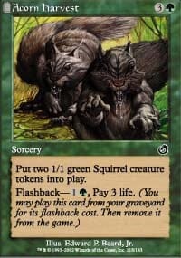 Acorn Harvest [Torment] MTG Single Magic: The Gathering  | Multizone: Comics And Games