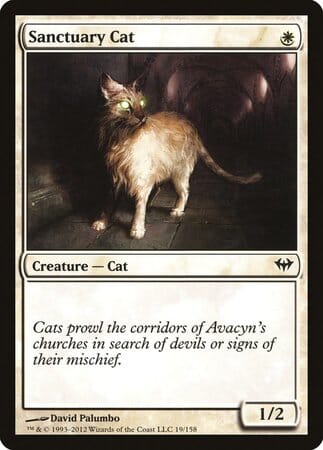 Sanctuary Cat [Dark Ascension] MTG Single Magic: The Gathering  | Multizone: Comics And Games