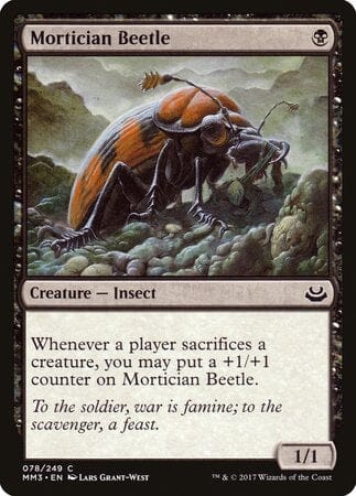 Mortician Beetle [Modern Masters 2017] MTG Single Magic: The Gathering  | Multizone: Comics And Games
