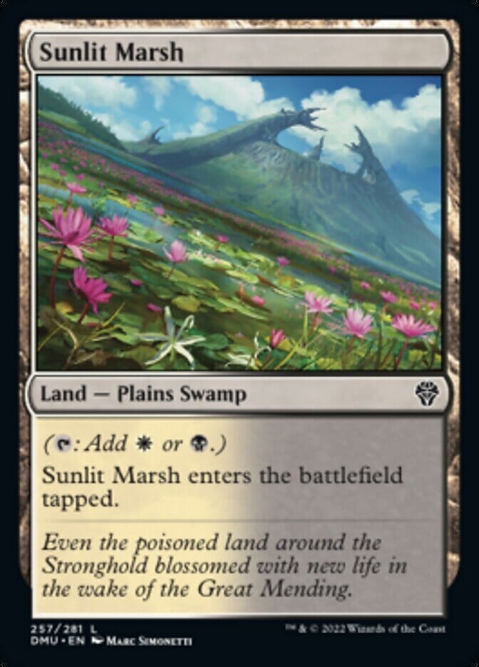 Sunlit Marsh [Dominaria United] MTG Single Magic: The Gathering  | Multizone: Comics And Games