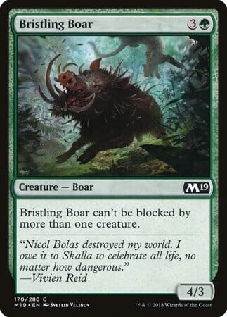 Bristling Boar [Core Set 2019] MTG Single Magic: The Gathering  | Multizone: Comics And Games