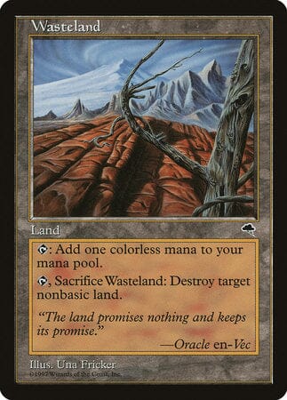 Wasteland [Tempest] MTG Single Magic: The Gathering  | Multizone: Comics And Games