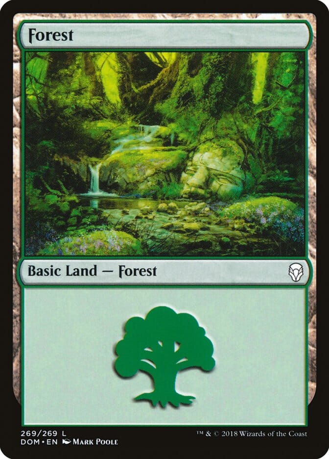 Forest (269) [Dominaria] MTG Single Magic: The Gathering  | Multizone: Comics And Games
