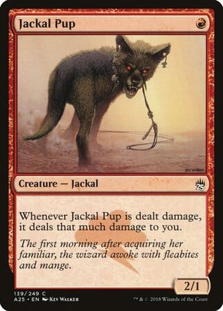 Jackal Pup [Masters 25] MTG Single Magic: The Gathering  | Multizone: Comics And Games
