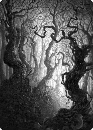 Forest 2 Art Card [Innistrad: Midnight Hunt Art Series] MTG Single Magic: The Gathering  | Multizone: Comics And Games