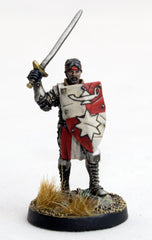 Haradelan Questers: High Questor of Tahnar Freeblades DGS:Freeblades  | Multizone: Comics And Games