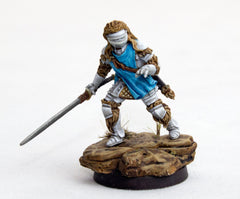 Haradelan Questers: Questing Knight of Vidunar Freeblades DGS:Freeblades  | Multizone: Comics And Games