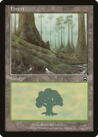 Forest (348) [Mercadian Masques] MTG Single Magic: The Gathering  | Multizone: Comics And Games