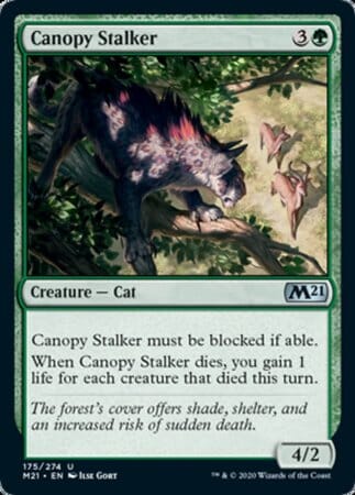 Canopy Stalker [Core Set 2021] MTG Single Magic: The Gathering  | Multizone: Comics And Games