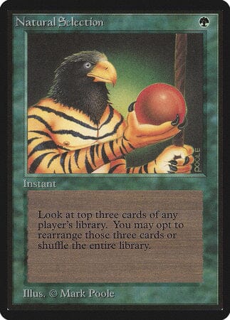 Natural Selection [Limited Edition Beta] MTG Single Magic: The Gathering  | Multizone: Comics And Games