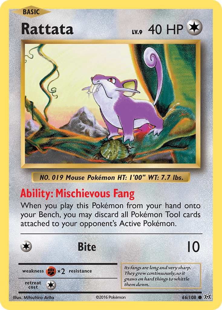 Rattata (66/108) [XY: Evolutions] Pokemon Single Pokémon  | Multizone: Comics And Games