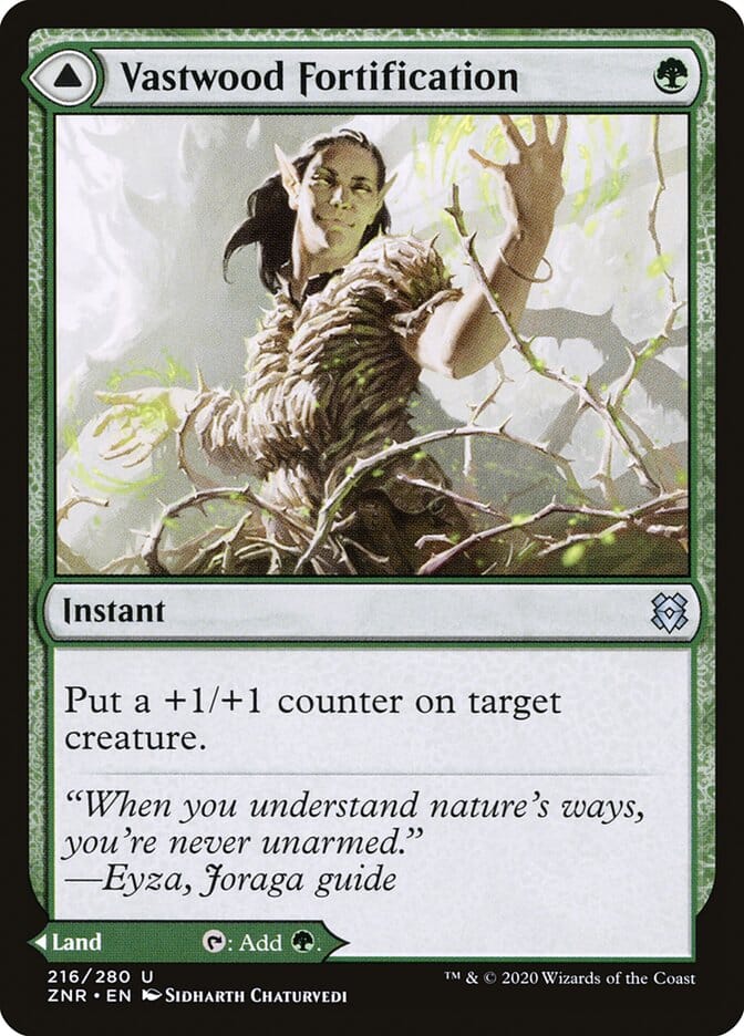 Vastwood Fortification // Vastwood Thicket [Zendikar Rising] MTG Single Magic: The Gathering  | Multizone: Comics And Games