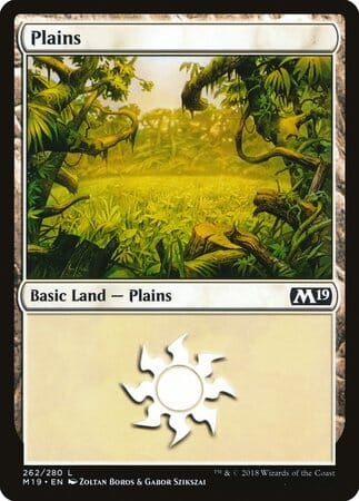 Plains (262) [Core Set 2019] MTG Single Magic: The Gathering  | Multizone: Comics And Games