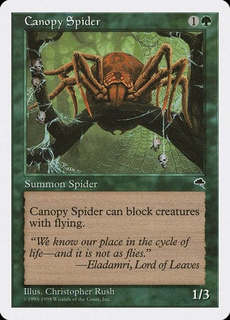 Canopy Spider [Anthologies] MTG Single Magic: The Gathering  | Multizone: Comics And Games