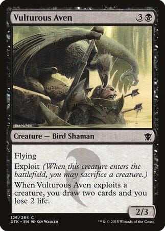 Vulturous Aven [Dragons of Tarkir] MTG Single Magic: The Gathering  | Multizone: Comics And Games
