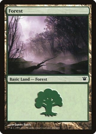 Forest (262) [Innistrad] MTG Single Magic: The Gathering  | Multizone: Comics And Games