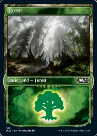 Forest (Showcase) [Core Set 2021] MTG Single Magic: The Gathering  | Multizone: Comics And Games