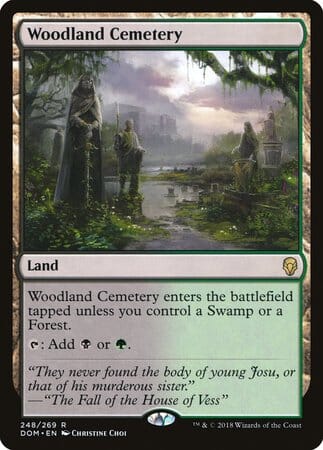 Woodland Cemetery [Dominaria] MTG Single Magic: The Gathering  | Multizone: Comics And Games