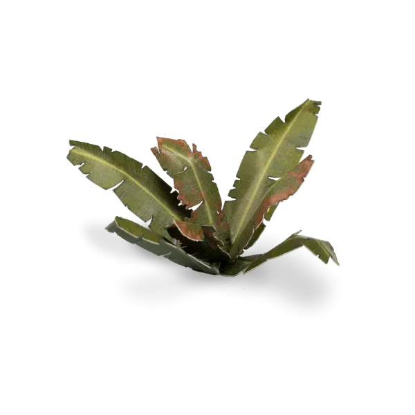 Gamers Grass Full Color Lasercut Plants Miniature Game Other Gamer Grass Dumb Cane  | Multizone: Comics And Games