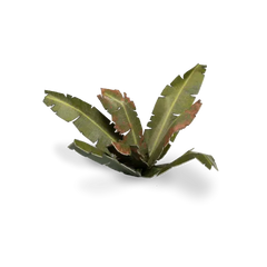 Gamers Grass Full Color Lasercut Plants Miniature Game Other Gamer Grass Banana Tree  | Multizone: Comics And Games