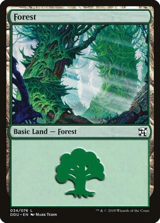 Forest (34) [Duel Decks: Elves vs. Inventors] MTG Single Magic: The Gathering  | Multizone: Comics And Games