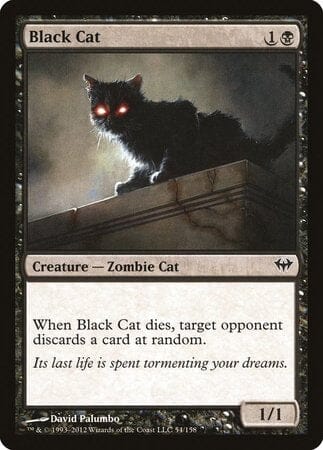 Black Cat [Dark Ascension] MTG Single Magic: The Gathering  | Multizone: Comics And Games