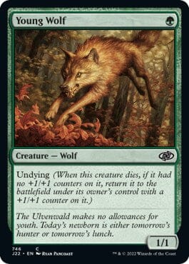 Young Wolf [Jumpstart 2022] MTG Single Magic: The Gathering  | Multizone: Comics And Games
